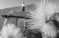 Infrared by Vallarie Enriquez Yucca